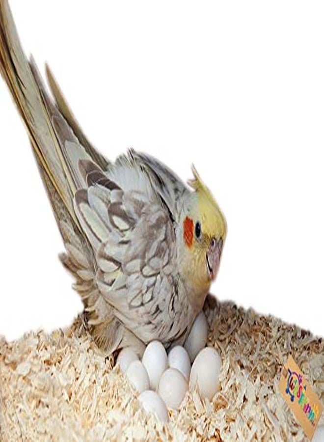 Western Era Natural Wood Shaving Soft Nesting Material for Birds (1Kg) - Image 3